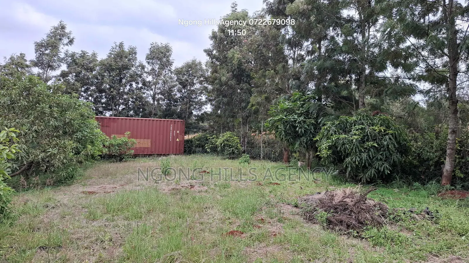 Prime 100x100 Orchard Plot for Sale – Kibiko, Baboon Crescent Road