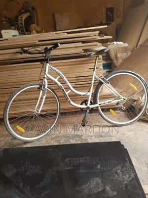Tiger Mountain Bike Size 27 White