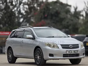 Toyota Corolla Fielder 2008 Silver