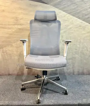 Office Chairs; Gray and White Ergonomic Orthopedic Office Chair