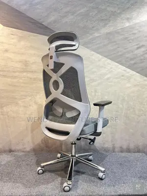 Office Chairs; Gray and White Ergonomic Orthopedic Office Chair