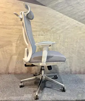 Office Chairs; Gray and White Ergonomic Orthopedic Office Chair