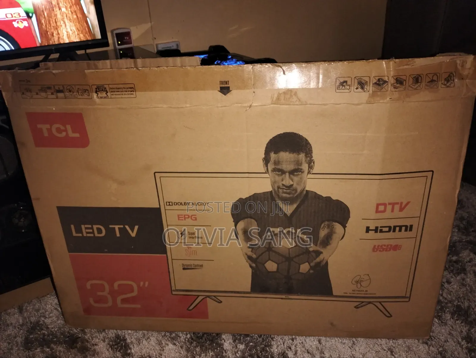 Television Screen