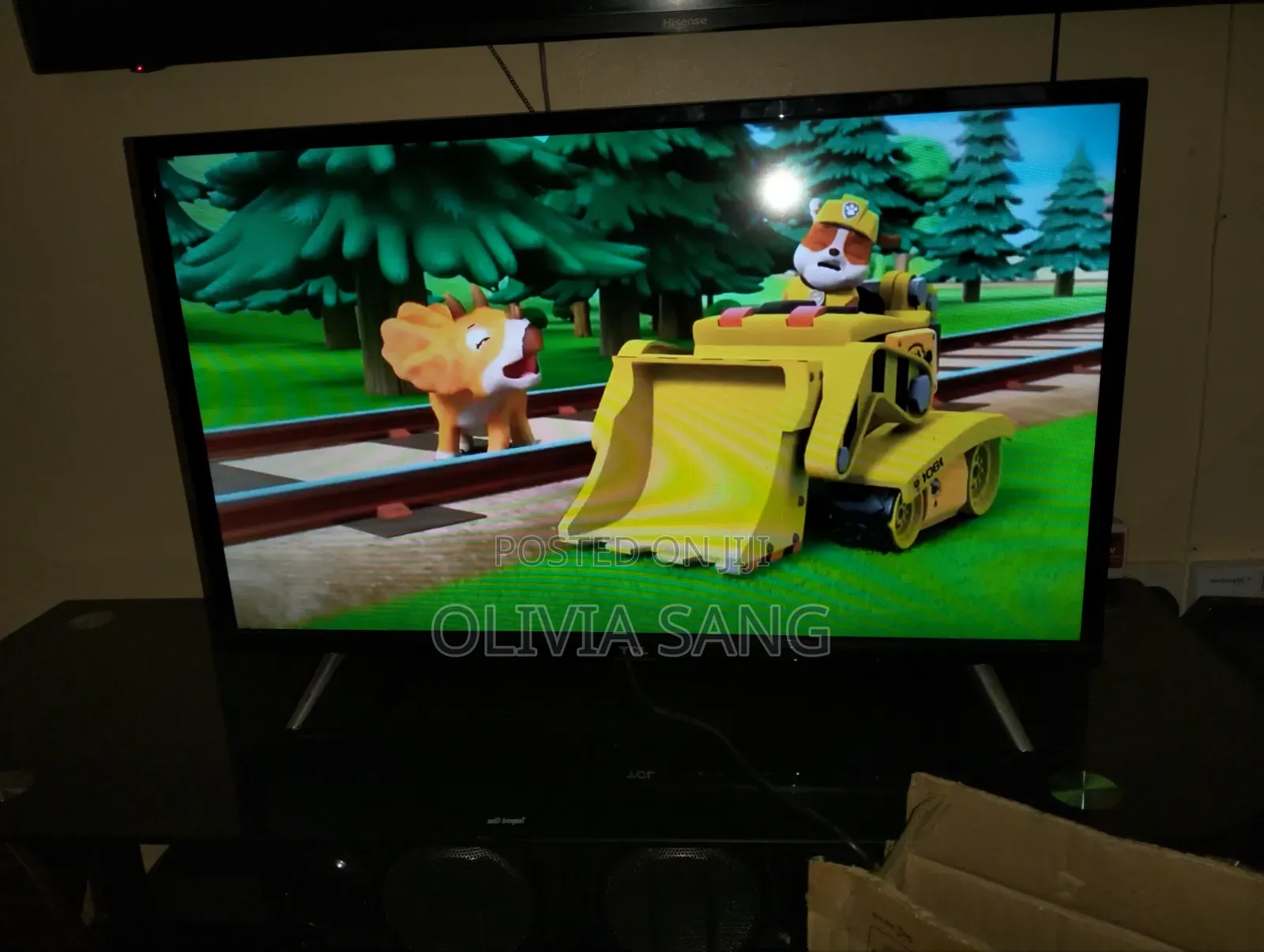 Television Screen