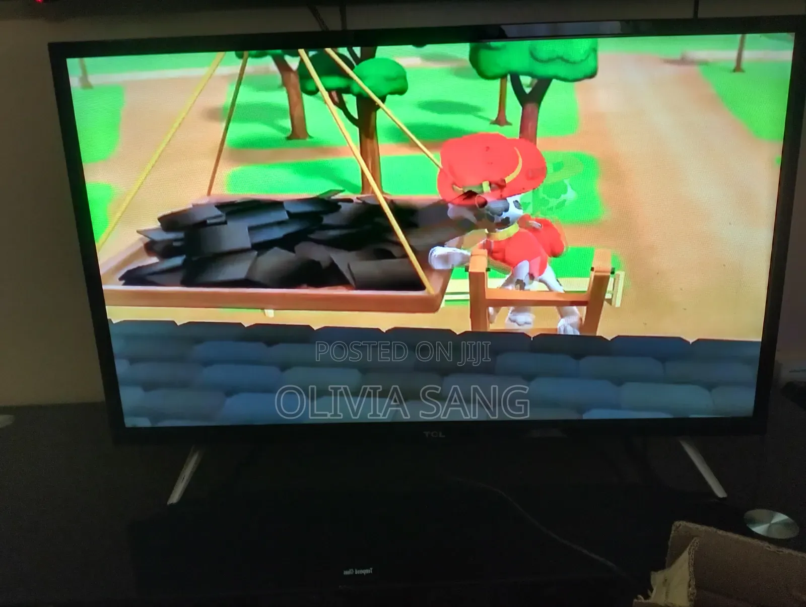 Television Screen