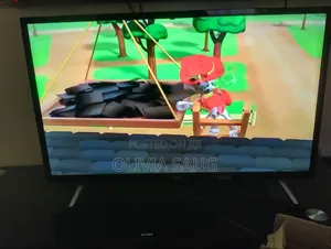 Television Screen