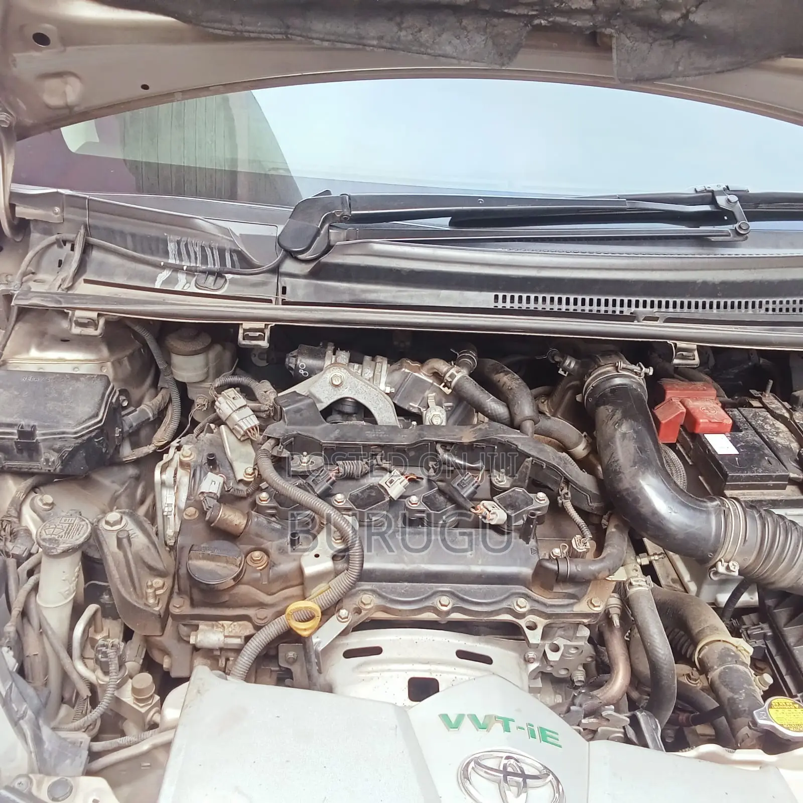 Toyota Vitz 2015 Gold