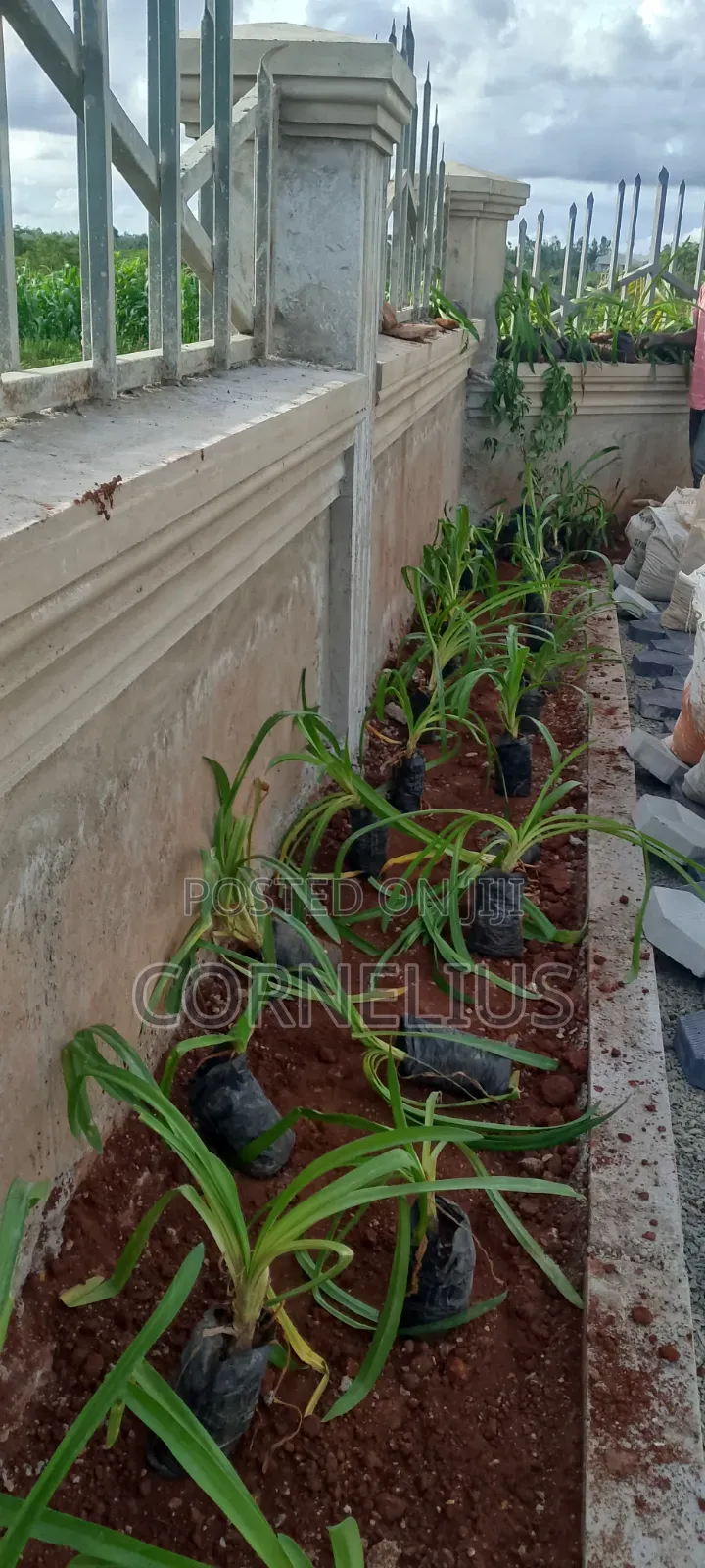 Cabro Supply and Installation