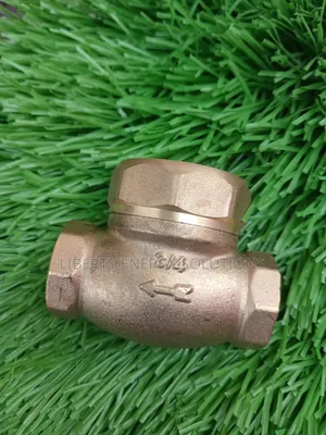 3/4 Non Return Valve