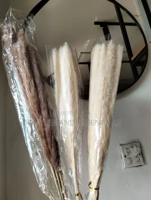 10pcs Dried Mini Pampas Grass
