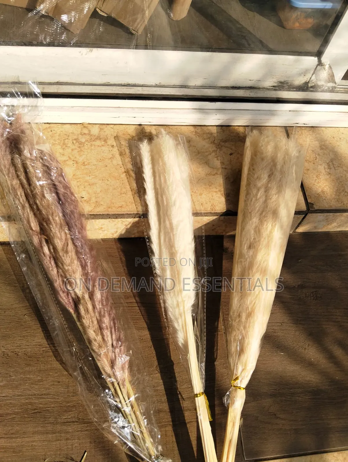 10pcs Dried Mini Pampas Grass