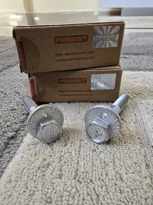 Toyota Vanguard Rear Camber Bolts