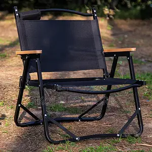 Home Chairs; Color Camping Kermit Chair