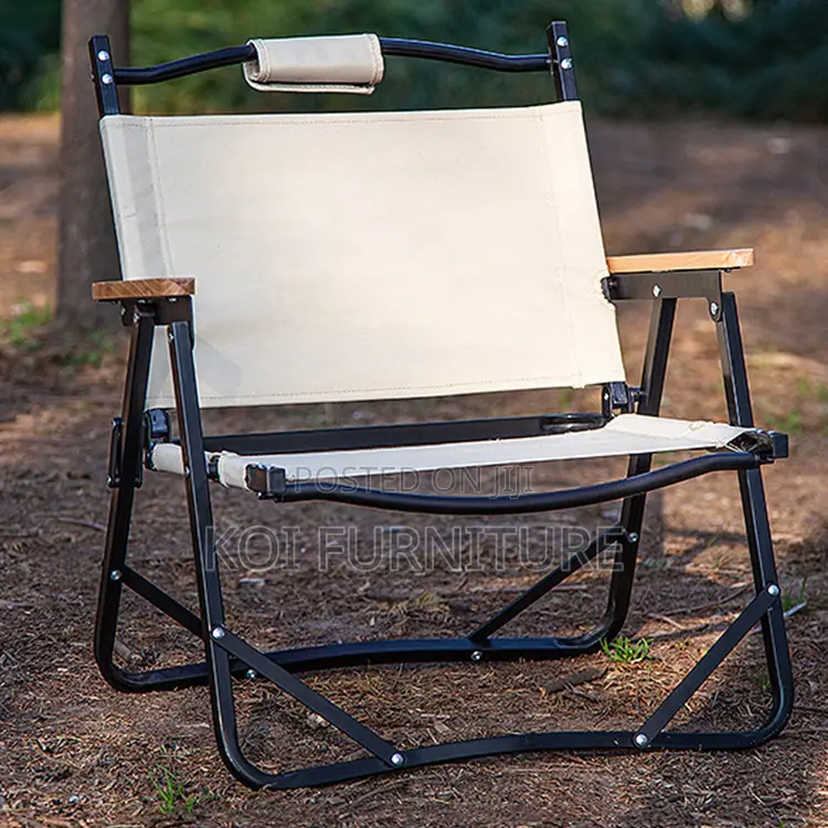 Home Chairs; Color Camping Kermit Chair