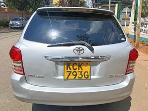 Toyota Corolla Fielder 2009 Silver