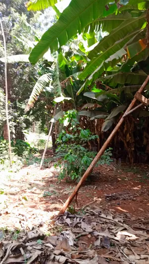 Thindigua/Kasarini- Commercial 1/2 Acre, Prime Location