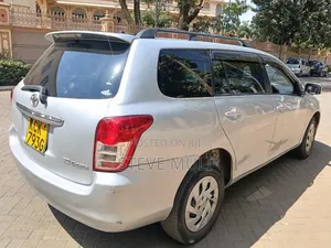 Toyota Corolla Fielder 2009 Silver