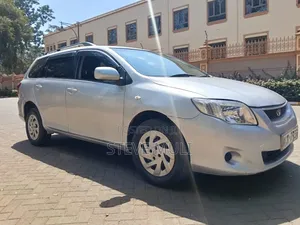 Toyota Corolla Fielder 2009 Silver