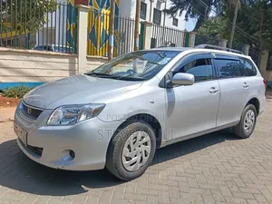 Toyota Corolla Fielder 2009 Silver