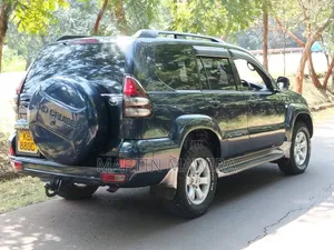 Toyota Land Cruiser Prado 2004 Blue