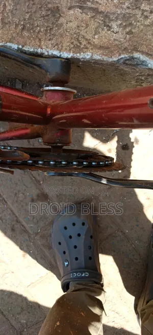 Bicycle on Sell