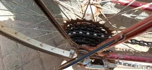 Bicycle on Sell