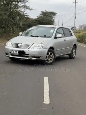 Toyota Allex 2001 Silver