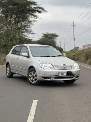 Toyota Allex 2001 Silver
