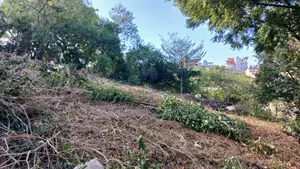 Prime 60 × 42 Plots for Sale in Aldina