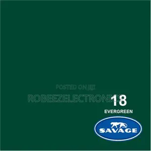 Savage Widetone Seamless Background Paper (#18 Evergreen)