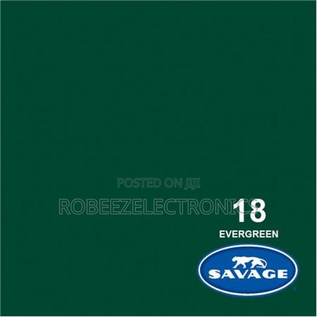 Colortone Seamless Background Paper (#18 Evergreen)