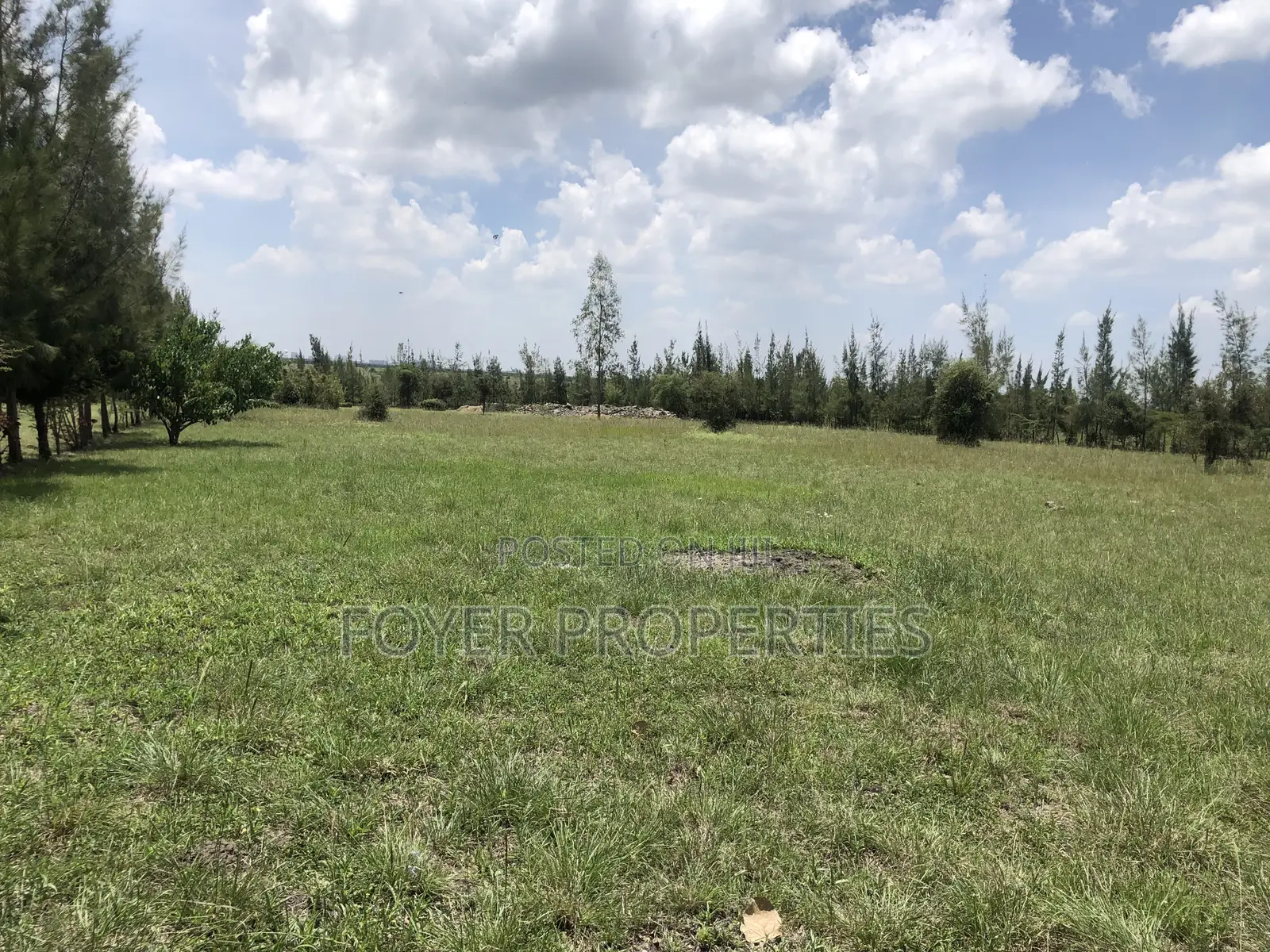 Plot Overlooking Nairobi National Park