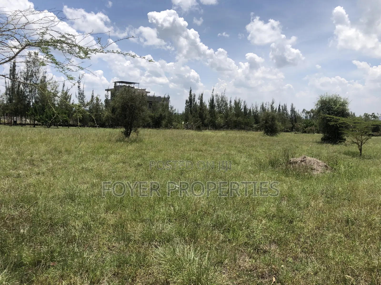 Plot Overlooking Nairobi National Park