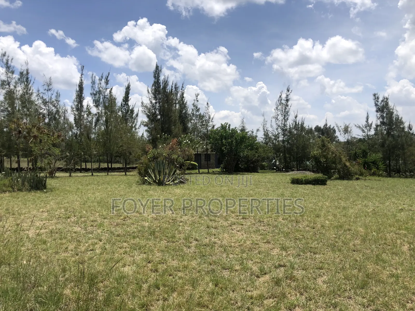 Plot Overlooking Nairobi National Park