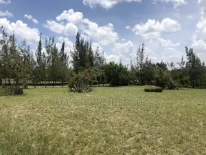Plot Overlooking Nairobi National Park