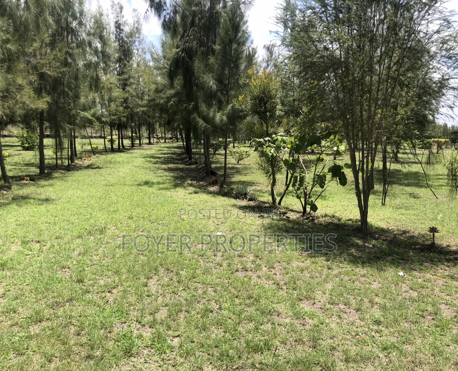 Plot Overlooking Nairobi National Park