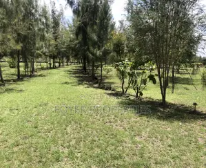 Plot Overlooking Nairobi National Park
