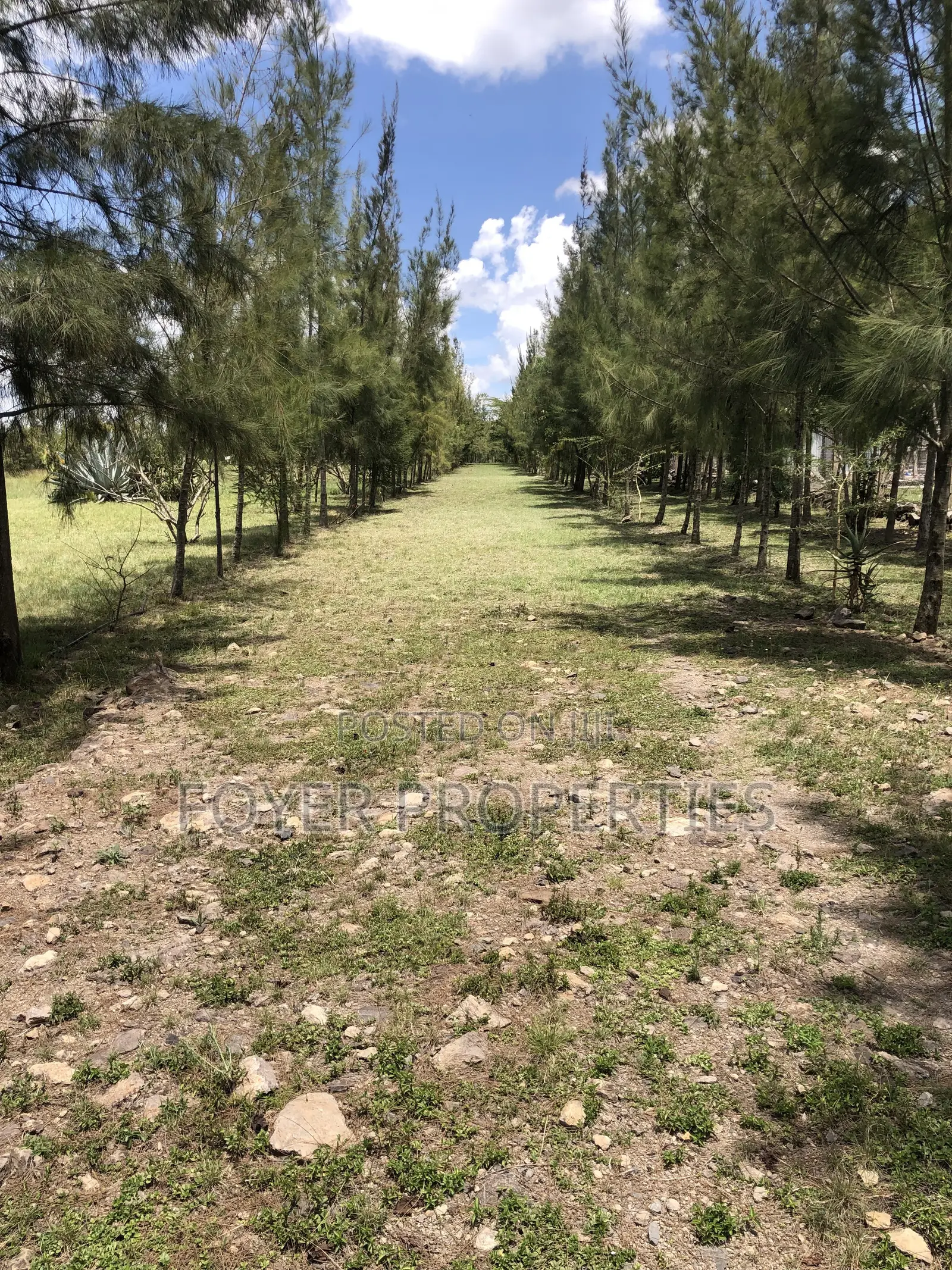 Plot Overlooking Nairobi National Park