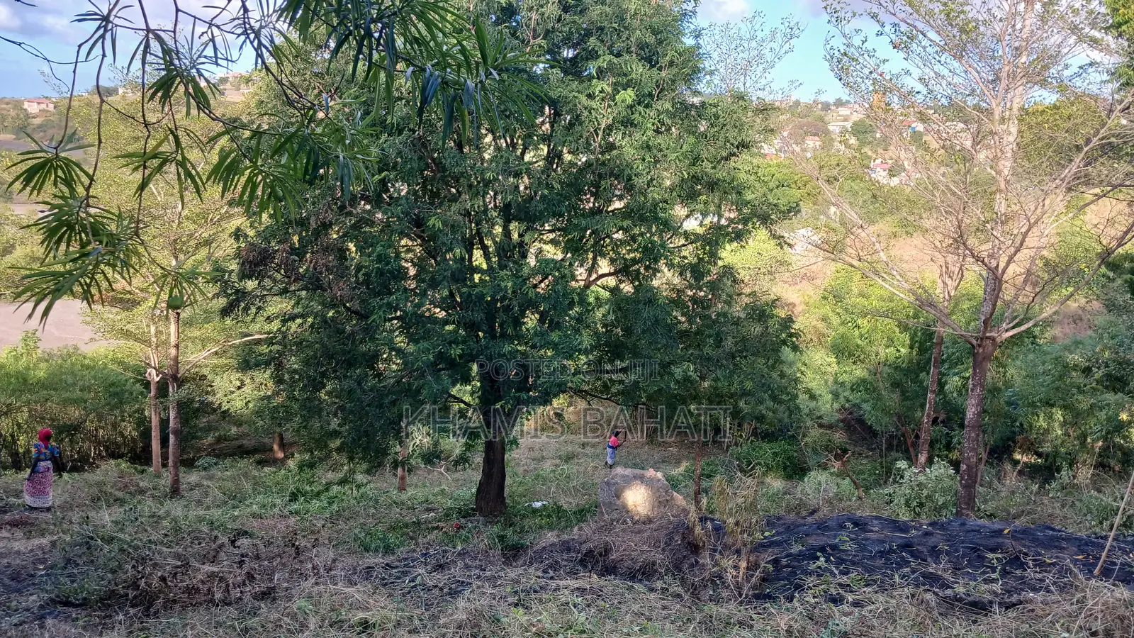Prime 60 × 42 Plots for Sale in Aldina