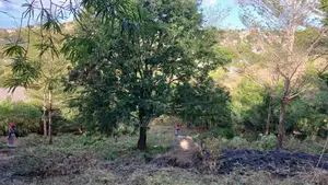 Prime 60 × 42 Plots for Sale in Aldina