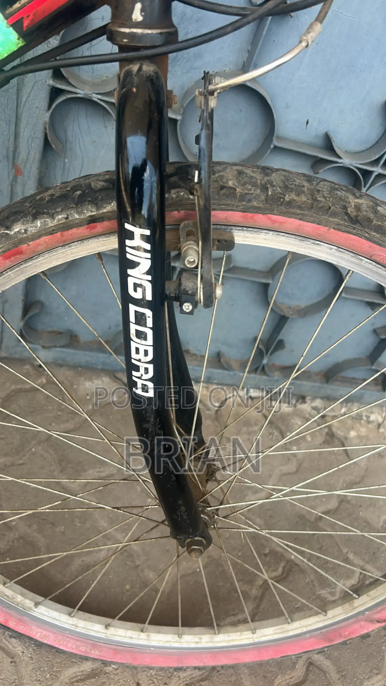 Mountain Bike