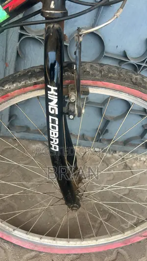 Mountain Bike