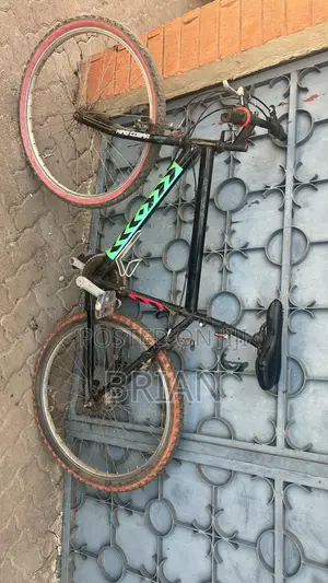 Mountain Bike