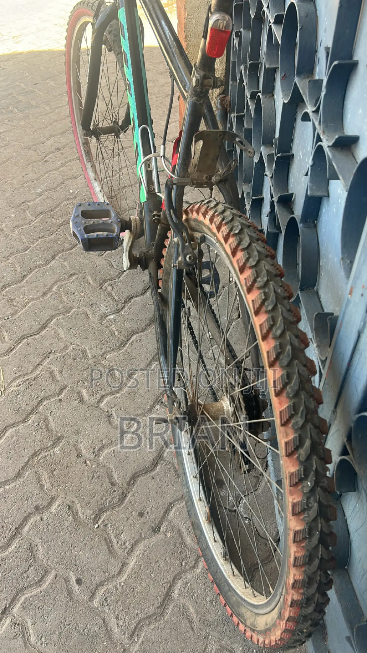 Mountain Bike