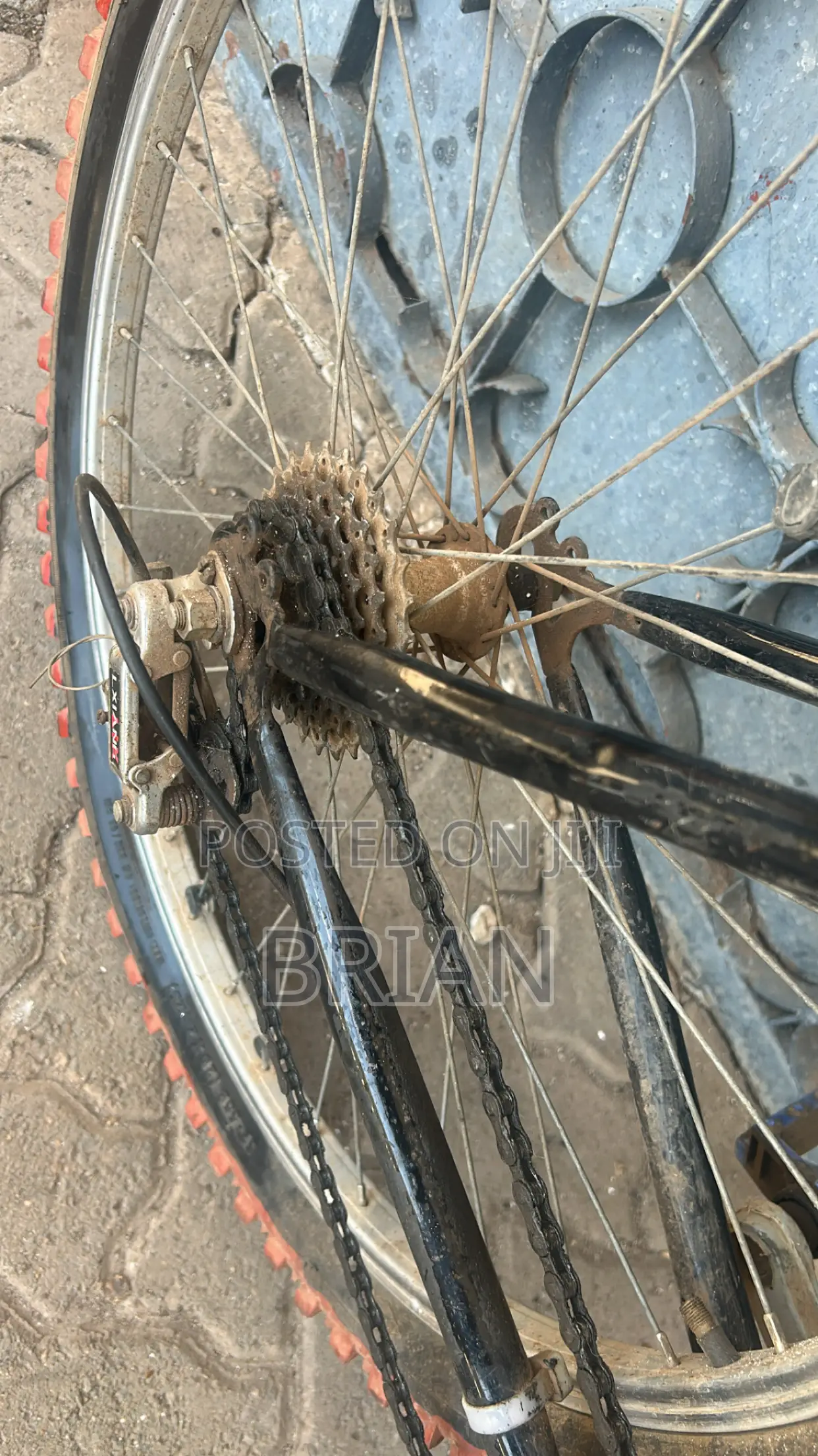 Mountain Bike