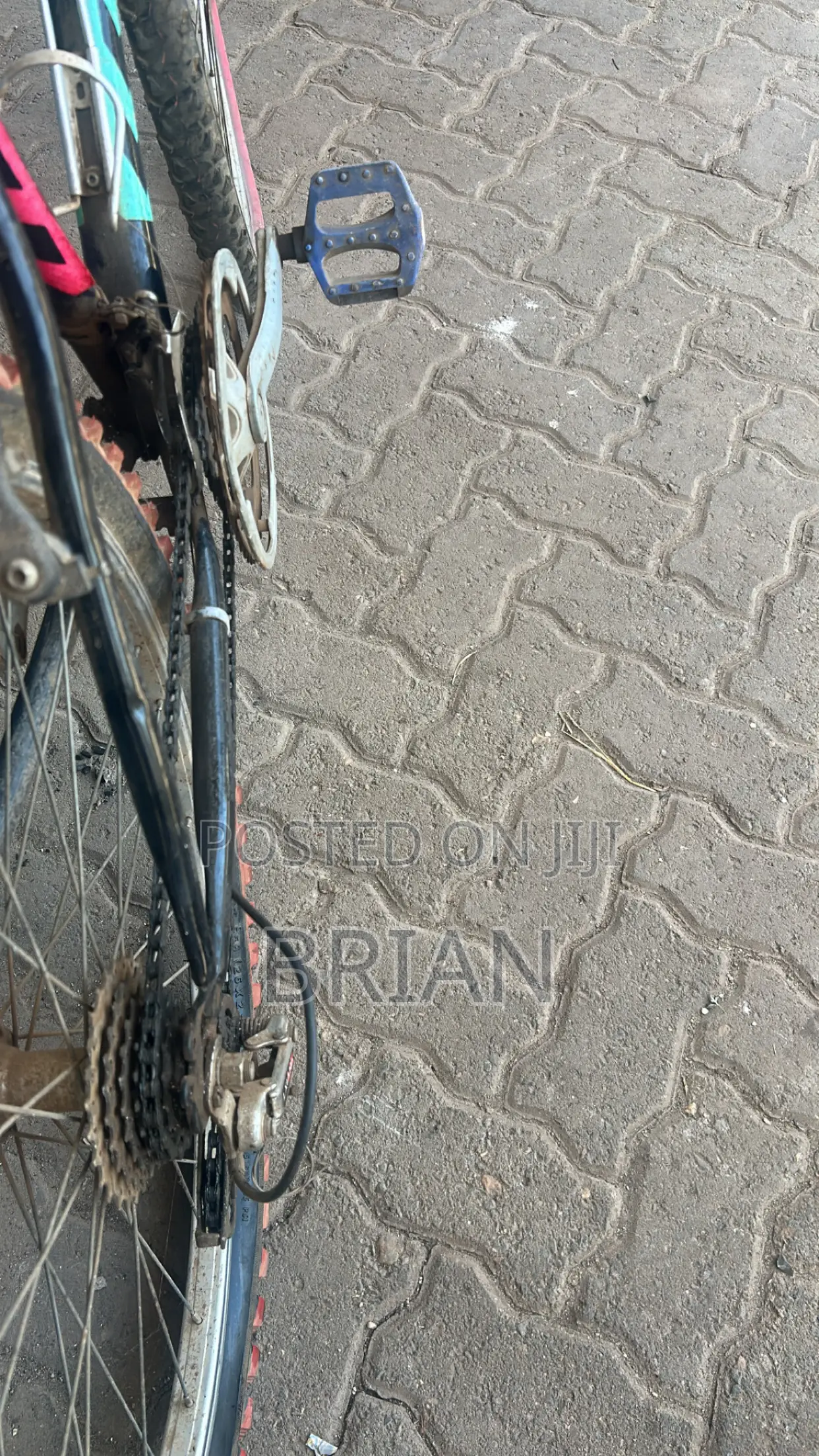 Mountain Bike
