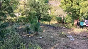 Prime 60 × 42 Plots for Sale in Aldina