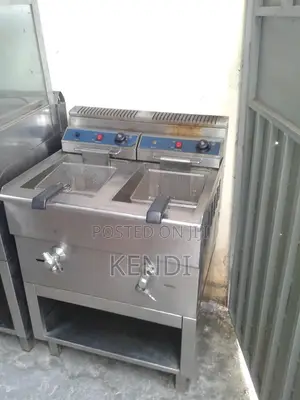 Double Gas Fryer
