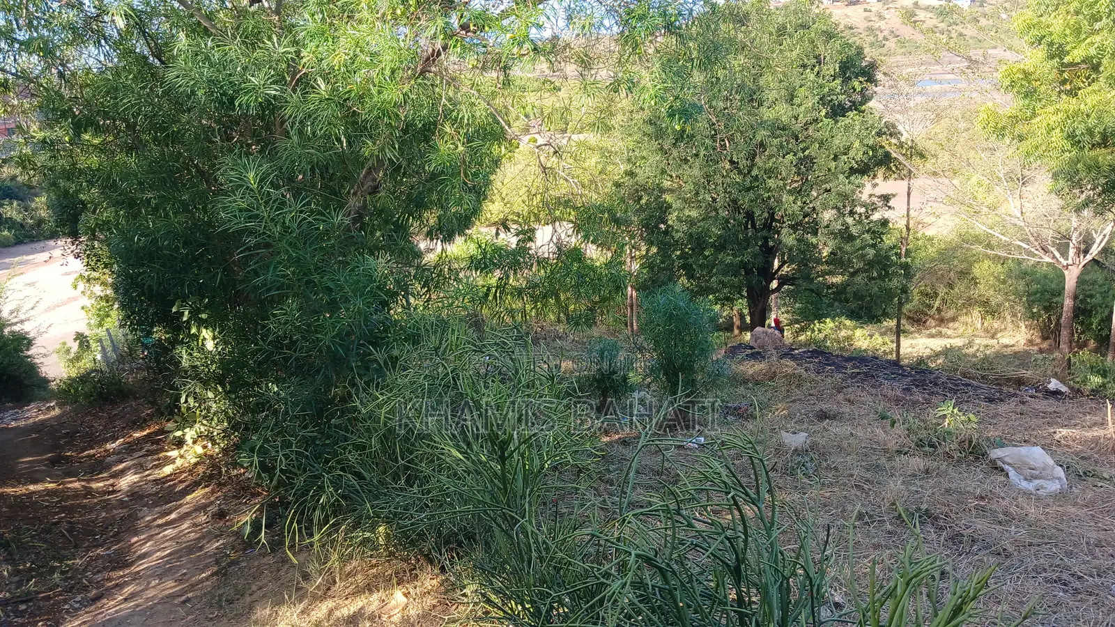 Prime 60 × 42 Plots for Sale in Aldina