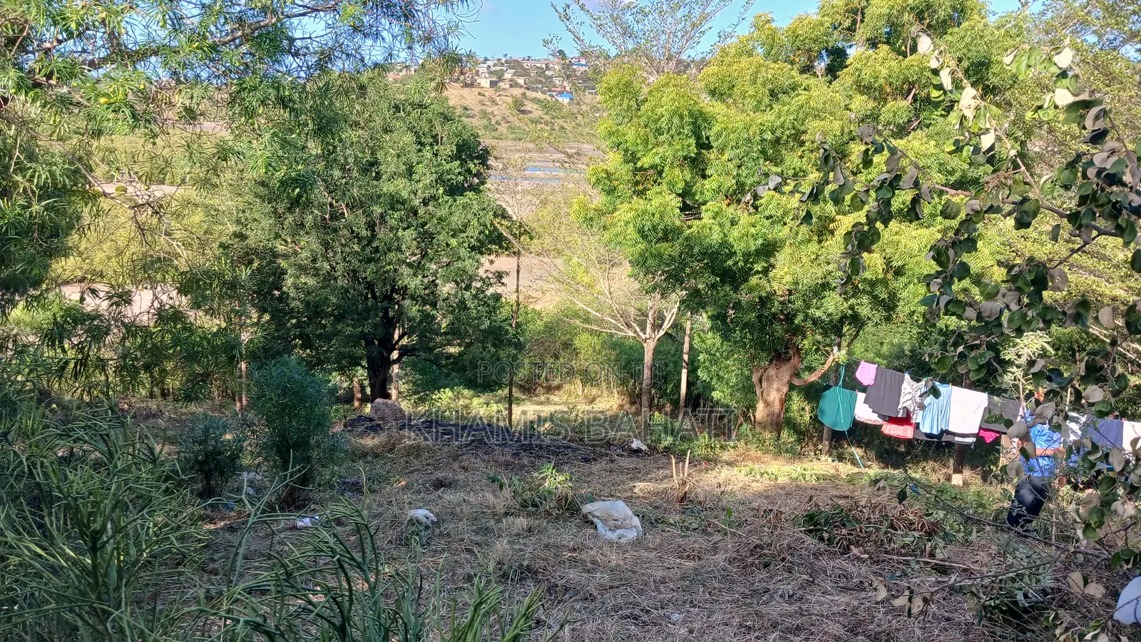 Prime 60 × 42 Plots for Sale in Aldina